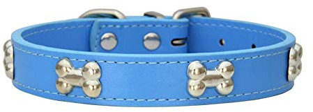 Mdurian Echtes Leder Metallknochen besetztes Hundehalsband Sicheres und bequemes verstellbares Halsband für kleine mittelgroße Hunde, (S, Blau)