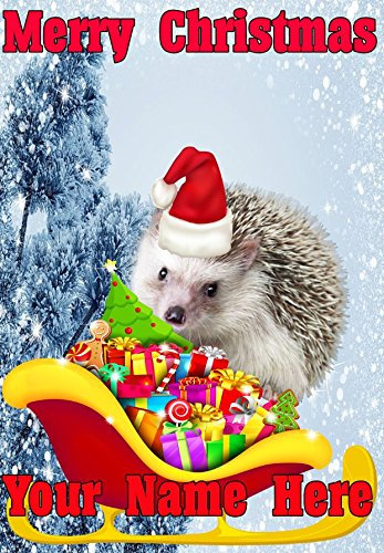 Igel Santa Schlitten nnc227 Humorvolle Weihnachten Karte A5 personalisierbar Karten geschrieben von uns Geschenke für alle 2016 von Derbyshire UK
