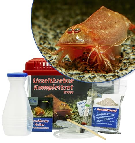 Triops cancriformis VAR. Beni Kabuto EBI Starterset: ca. 100 Urzeitkrebse Eier, 2,5 l Aquarium, Zubehör, Futter und Anleitung