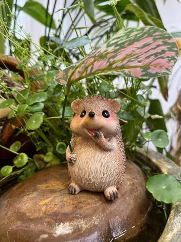 ACAREY Miniatur Igel Figuren, Gartendeko für Draußen Wetterfest, Bezaubernde Garten Igel Statue, Dekoration, Lebendige Tierskulptur, Lgel Ornamentefür Zuhause, Terrasse, Rasen, Outdoor
