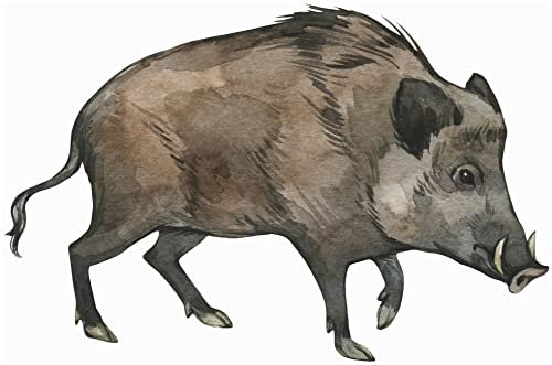 Samunshi® Wildschwein Aufkleber Autoaufkleber für Motorrad Fahrrad Roller oder Auto Sticker Babyaufkleber Kinderaufkleber - 10x6,5cm mehrfarbig