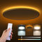 Aisutha LED Deckenleuchte Dimmbar,24W Deckenlampe mit Fernbedienung,IP54 Wasserfest,1800K Dimmbar Nachtlicht, 3000K~6500K Rund Flach Deckenleuchten für Schlafzimmer Küche Wohnzimmer Esszimmer