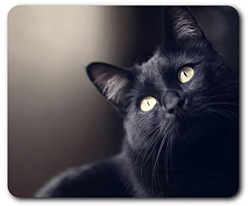 Beautiful Black Cat Mouse Mat Pad Computer PC Laptop Mum Sister Birthday Office Home Desk Accessory Gadget 2603