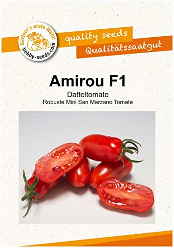 Tomatensamen Amirou F1 Mini San Marzano-Tomate Portion
