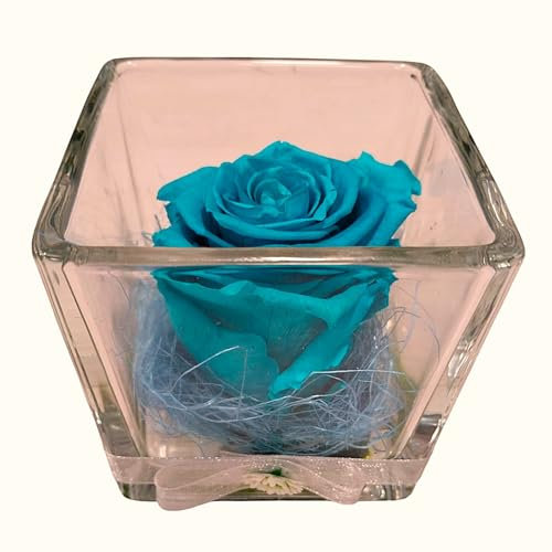 Rose Bleue Turquoise Naturelle PRÉSERVÉE. Cube en Verre. Rose éternelle Bleue. Achetez des Roses Bleues. Fleurs préservées