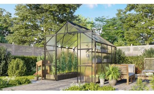 Vitavia Gewächshaus Jamaika inkl. Ready2Grow Zubehör-Set, schwarz, 6,7 m², 6 mm HKP | Wetterfestes & stabiles Treibhaus | Perfekt für Gemüse & Pflanzen | Robust & langlebig