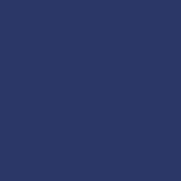 ISAP France 40 Serviettes ECO Bleu Marine