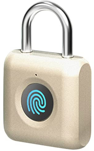 HLDMUXBF Mini candado de huella digital inteligente, cerradura de puerta biométrica con huella digital sin llave, USB, resistente al agua, desbloqueo rápido, candado inteligente antirrobo de Metal Can