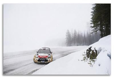 Sportwagen-Poster DS3 WRC Rallye-Rennwagen-Poster, dekoratives Gemälde, Leinwand, Wandposter und Kunstdruck, moderne Familienschlafzimmer-Dekoration, Poster, 30 x 45 cm