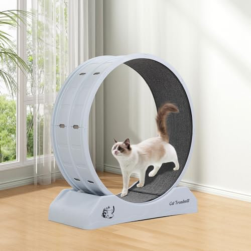 furpal Katzenlaufrad XXL 73,5 cm für große Katzen | Leise & stabil | Platzsparendes Laufband für Katzen mit Teppichboden & Verriegelung | Katzenspielzeug interaktiv mit Gratis Katzenangel