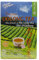 Prince of Peace Oolong Tea - 100 Tea Bags net wt. 6.35oz (180g)