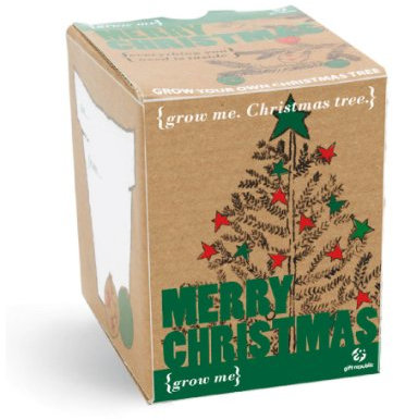 Grow Me Weihnachtsbaum zum Selbstanbau