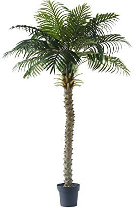 Kunstpalme Kokos 160cm hoch mit 18 Palmwedel und Palmfaser - Künstliche Kokospalme Dekopalme im Topf