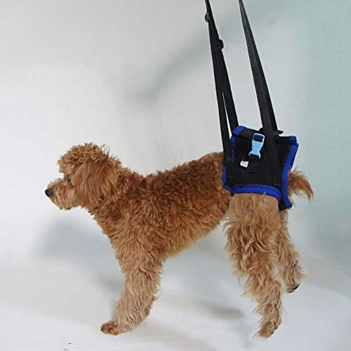 LVYONG Ältere Hundealte Hunde Hinterbeingurte Behinderte Verletzungen Ältere Hunde Hilfsgurte Rehabilitationsübungen Für Hinterbeine Mit Hundehilfsgurten-Blau_L.Gehhilfe Für Hunde (Hinten) Tragegurt