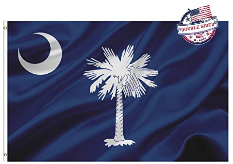 South Carolina Flagge, doppelseitig, 2 x 3 cm, für den Außenbereich, strapazierfähig, 3-lagig, South Carolina State Flagge, super langlebig, 2 Reihen, genähter Rand, Leinwandkopf mit 2 Messingösen