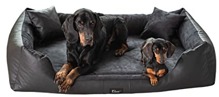 exclusive BED Orthopädisches Hundebett Eden Grosse Mittelgroße Kleine Hunde - Hundekissen Hundematte aus Öko-Leder + Alcantara-Stoff - Schmerzlindernd Abriebfest Reißfest (XXXL, Schwarz)