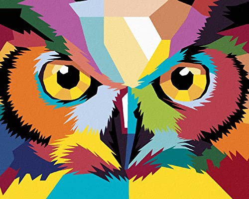 ZUTY - Malen nach Zahlen - POP ART EULE, 40x50 cm ohne Keilrahmen