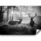 murando - Fototapete Premium-Vlies Hirsch Tiere 100x70cm - Foto Tapete Wohnzimmer Moderne Vliestapete XXL Wandtapete Motivtapeten Bildtapete 3d Effekt Wand Dekoration Flur Wald Landschaft Natur