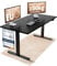 WINTONCOVE Höhenverstellbarer Schreibtisch elektrisch 160x80cm [Zertifiziert] Stabiler elektrischer Schreibtisch | höhenverstellbar elektrisch mit Dual-Motor & sauberem Kabel-Versteck