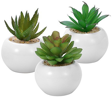 WINOMO 3pcs succulentes artificielles décoratives, Mini pot de fausses plantes avec des pots blancs