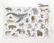 Schreibtischunterlage für Kinder – “Tier ABC“ – aus premium Vinyl (Kunststoff -BPA frei) – 60 x 40 cm – Made in Germany
