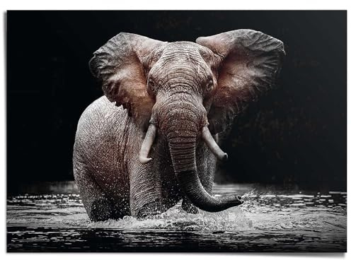 REINDERS Giant Poster XXL, Elefant, Home Office, Bilder, Wanddeko, Room Decor, Papier, Schwarz, 100 x 140