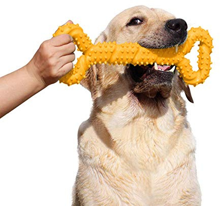 atopo Robustes Hundespielzeug 13 Inch Knochen geformt Kauspielzeug aus Hartgummi mit Konvexes Design stark interaktives Spielzeug für große kleine Hunde, Zähne reinigen und Zahnfleisch massieren