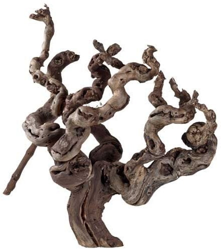 Weinrebenwurzel, ca. 30-40 cm