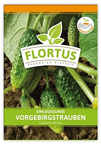FLORTUS Einlegegurke Vorgebirgstrauben | Gemüsesamen | Gurkensamen | Einlegegurkensamen | Samen zur Anzucht für Garten, Balkon, Küche & Fensterbank