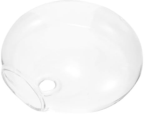 TINEASUR Vase Suspendu en pour Plantes Hydroponiques Décoration Murale Pot Transparent pour Intérieur d'Espace Élégance