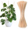 Huucozn 100 PCS Tutores de Bambú a Planta 40cm Ø 5mm– Cañas de Bambu Plantas, Estacas para Tomateras, Palos para Tomateras en huerto y Cultivos Verticales Jardín, Tutores por Plantas Trepadoras