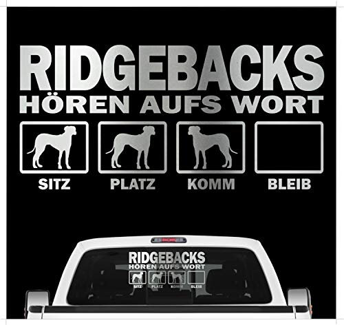 siviwonder Rhodesian Ridgeback RR hört aufs Wort Hunde Auto Aufkleber Autoaufkleber Hund Folie Farbe Silber Metallic, Größe 20cm