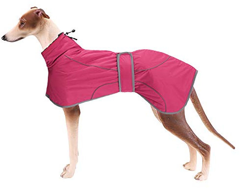 MOREZI Veste d'hiver Greyhound, Doublure en Laine Rembourrée, avec Sangle Auto-adhésive Réglable et Bandes Réfléchissantes, Convient aux Chiens de Taille Moyenne et Grande-Rose-XS
