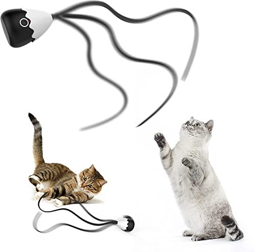 Interactive Cat Toys for Indoor Cats, Automatic Irregular Moving KitenToy with Lifelike Prey's Tail Silicone Tail, 2 in 1 Rechargeable Exercise Cat Wand Toy for Cats Adult (Black)