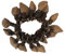 Fiera amazzonica Sciamano Calabash piede/gamba Rattle a base di tapar FRUTTA A GUSCIO
