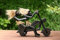 G6 Collection Handgefertigte hölzerne primitive Tribal lustige Statue Harley Davidson Biker Skulptur Motorrad Tiki Bar Handcrafted Rider Geschenk Home Decor Figur handgeschnitzt (Fahren mit Passagier)
