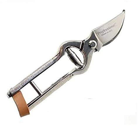 DE LUCA Forbice TRINCIA Pollo da Cucina 210 mm in Acciaio TEMPERATO