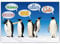 A4 XXL Glückwunschkarte PINGUINE mit Umschlag - edle Klappkarte geeignet für alle Anlässe wie Geburtstag Hochzeit Baby Jubiläum Karte von BREITENWERK