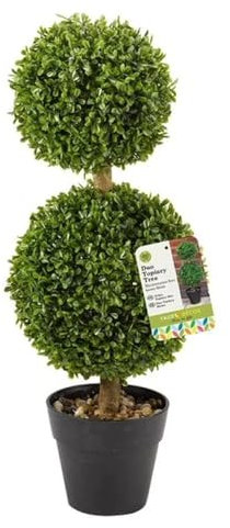Duo Arbre topiaire Multicolore