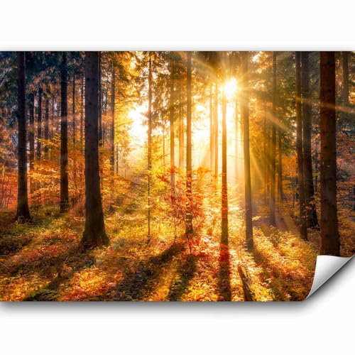 murando Fototapete selbstklebend Wald 3D 343x256cm Foto Tapete Tapetenfolie Möbelfolie Wandverkleidung Wandtapete Motivtapeten Bildtapete Wohnzimmer 3d Effekt Modern Landschaft Natur Sonne Grün Bäume