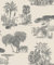 Rasch Papier peint intissé clair 555028 de la collection Lirico Motif safari Noir 10,05 m x 0,53 m