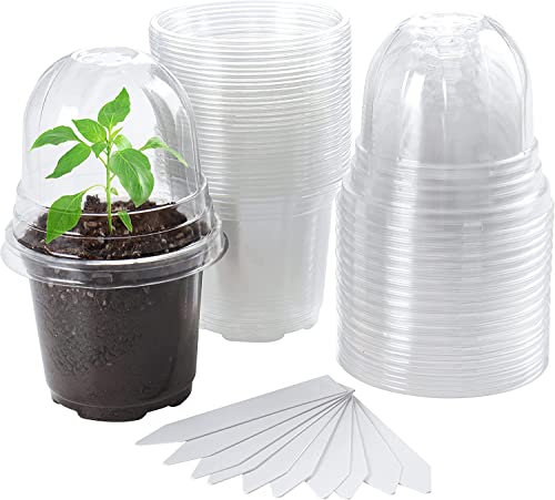LATERN 30 Piezas Macetas Transparentes para Vivero con Domo de Humedad, 10CM Maceta de Plástico Macetas de Inicio de Plántulas con Orificios de Drenaje para Trasplante Planta - con 10 Planta Etiquetas