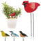 Cikiki Bodenfeuchtigkeitsmesser, niedliches Vogelform-Pflanzenfeuchtigkeitsmessgerät mit automatischem Alarm, Feuchtigkeitsmesser für Zimmerpflanzen, Outdoor-Pflanzen, Topfpflanzen, Dekoration