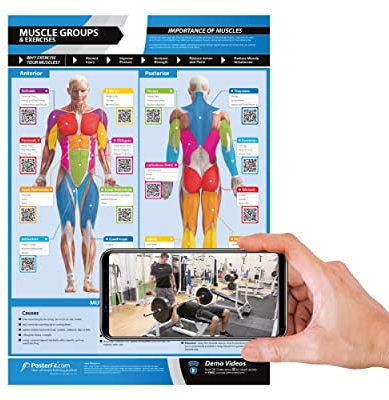 Muskelgruppen und Übungen, laminiertes Poster für Zuhause und Fitnessstudio, kostenlose Online-Video-Trainingsunterstützung, Größe: 594 mm x 420 mm (A2), verbessert die persönliche Fitness