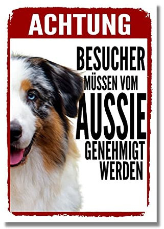 Australian Shepherd 1 Genehmigung Dog Schild Spruch Türschild Hundeschild Warnschild Geschenkidee Sicherheitsschild Hund Privatgrundstück Hundewarnung Warnung vor dem Hund