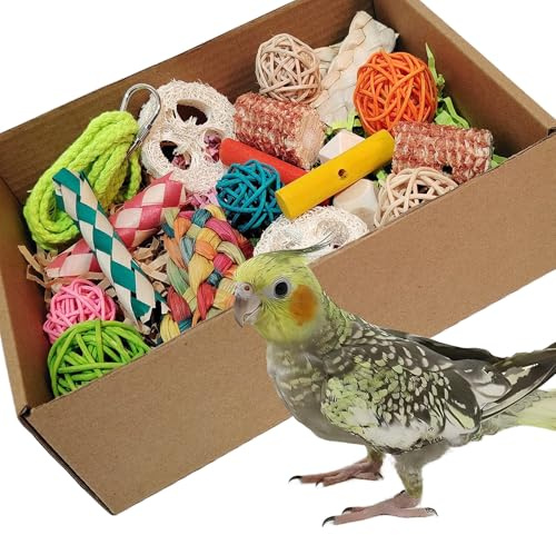 kencunay Bird Toys,Colorful Parrot Foraging and Tearing Toy Box