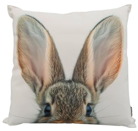 CB Home & Style Outdoorkissen Gartenkissen Wasserabweisend Wasserfest Ostern Osterkissen Frohe Ostern Dekokissen Ostern 45x45cm (Hase)