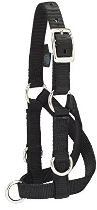 Weaver Leather Livestock Sheep & Goat Training Halter