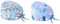 XURJUMI Pack of 2 Stück OP Haube Verstellbar mit Knopf Arbeitskappe Baumwolldruck Kranken schwesternkappe Unisex Staubhauben Kappe, Adjustable Cotton Hood