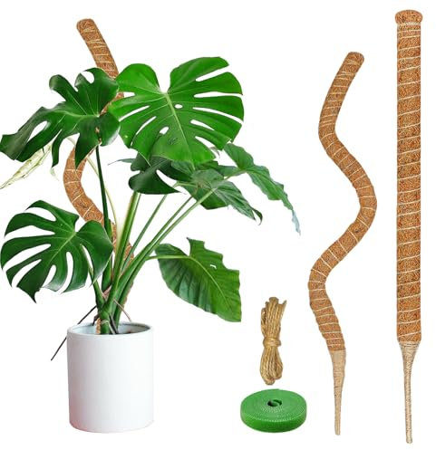 Dimpoo Moosstange für Monstera, biegbare Kokosfaser-Pflanzenstützstäbe, 67 cm, 2 Stück